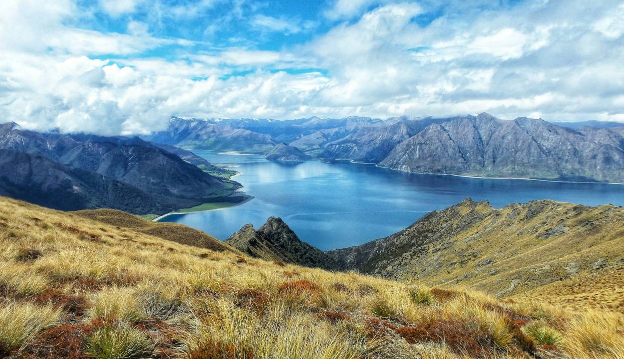 Why relocate to New Zealand?