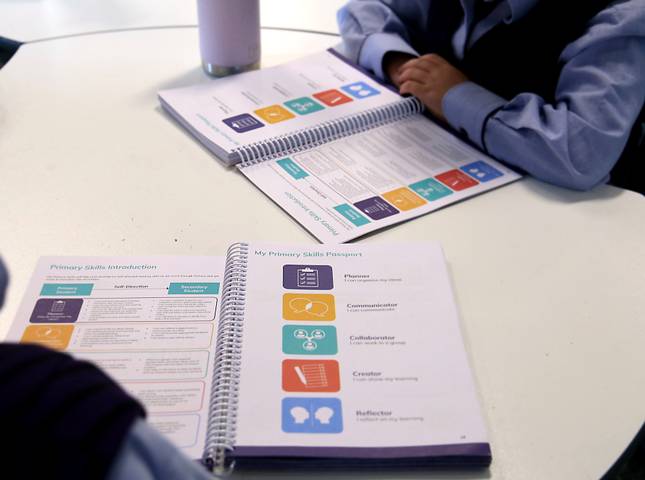 Primary Skills Workshops